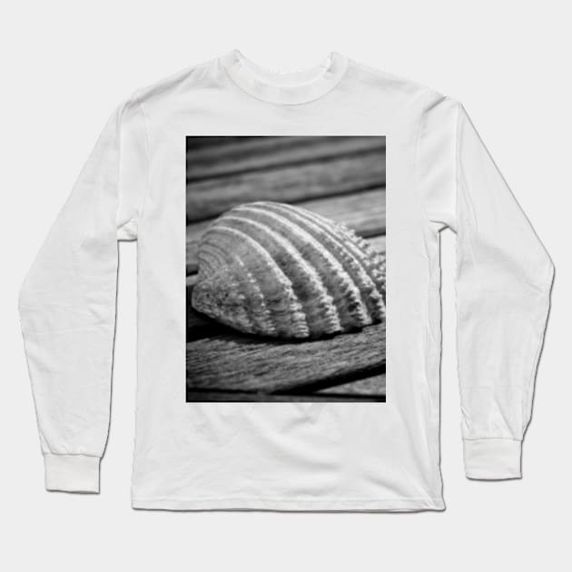 Half a sea shell on wood Long Sleeve T-Shirt by Femaleform